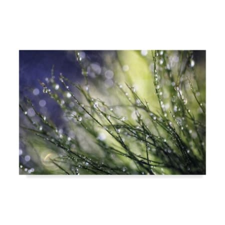 Trademark Fine Art Incredi 'Morning To Remember' Canvas Art, 16x24 ALI36098-C1624GG